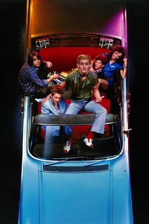 The Wild Life's poster