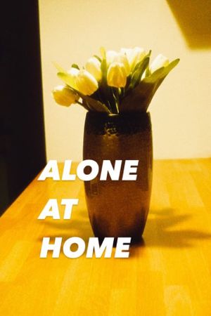 Alone at Home's poster