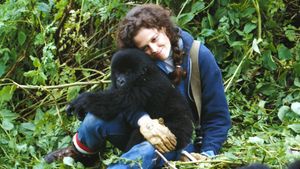 Gorillas in the Mist's poster