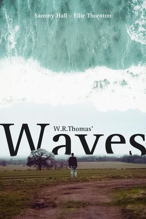 Waves's poster