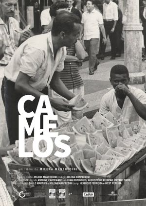 Camelôs's poster