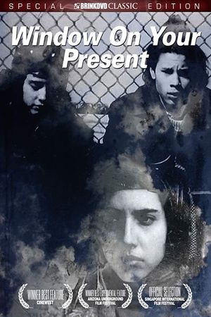 Window on Your Present's poster
