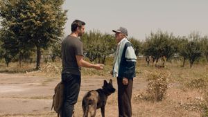 Dogs's poster