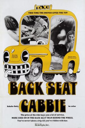 Back Seat Cabbie's poster image