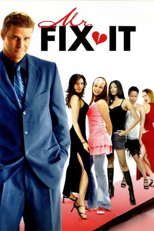 Mr. Fix It's poster