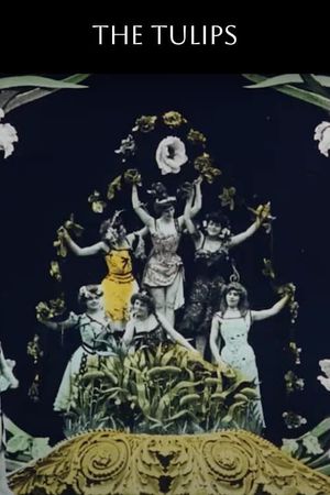The Tulips's poster