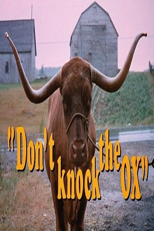 Don't Knock the Ox's poster