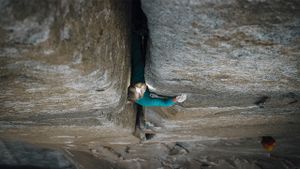 Girl Climber's poster