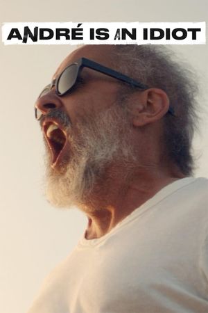 André Is an Idiot's poster image