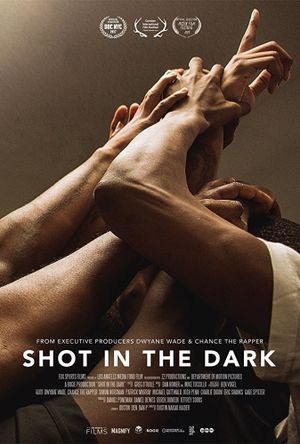 Shot in the Dark's poster