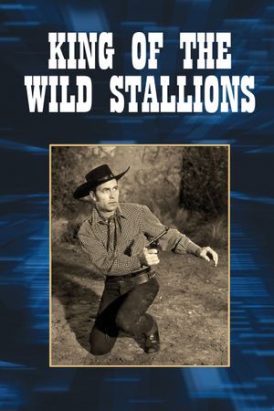 King of the Wild Stallions's poster