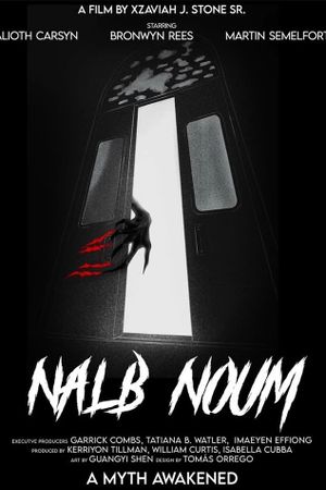 Nalb Noum's poster