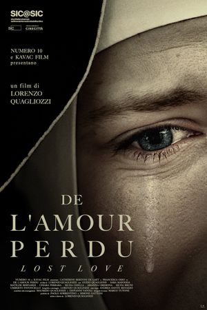 Lost Love's poster