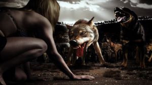 The Breed's poster