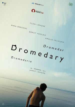 Dromedary's poster