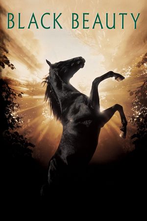 Black Beauty's poster