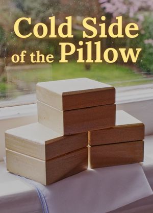 Cold Side of the Pillow's poster image