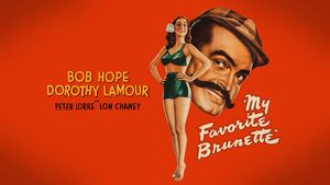 My Favorite Brunette's poster