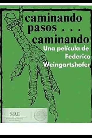 Caminando pasos... caminando's poster