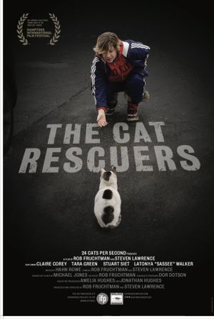 The Cat Rescuers's poster