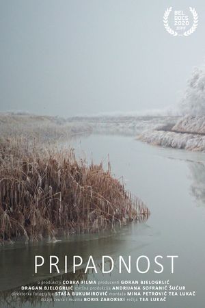 Belonging's poster