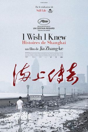 I Wish I Knew's poster