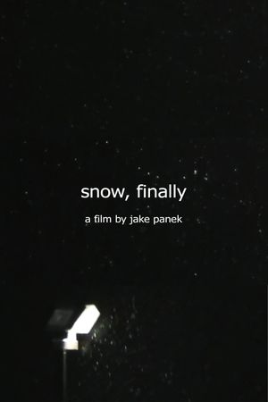 snow, finally's poster