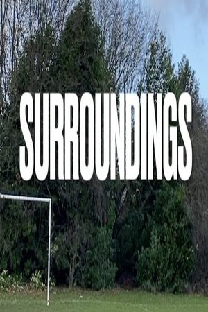 Surroundings's poster image