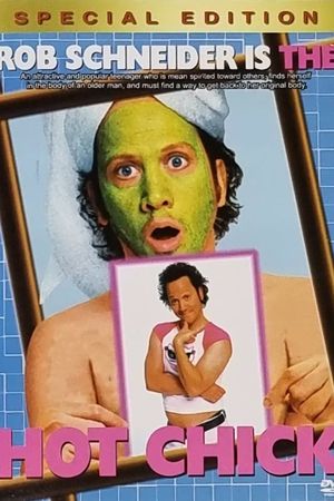 The Hot Chick's poster