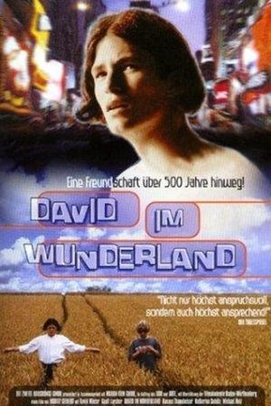 David im Wunderland's poster