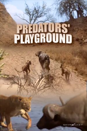 Predator's Playground's poster