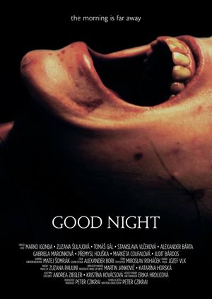 Good Night's poster