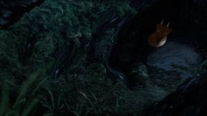 Fox and the Whale's poster