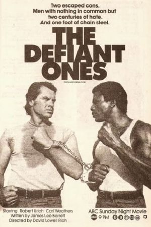 The Defiant Ones's poster image