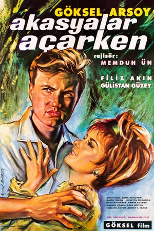 Akasyalar açarken's poster