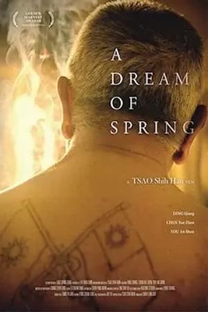 A Dream of Spring's poster