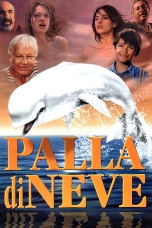 Palla di neve's poster