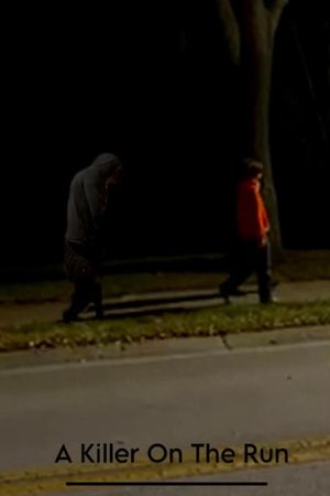 Killer On The Run's poster