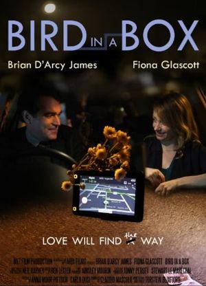 Bird in a Box's poster