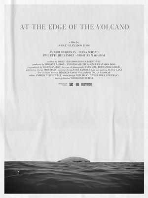 At the Edge of the Volcano's poster