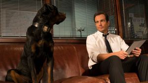 Show Dogs's poster