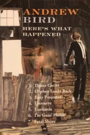 Andrew Bird: Here's What Happened's poster