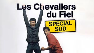 Les Chevaliers du Fiel : Spécial Sud's poster