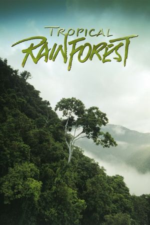 Tropical Rainforest's poster