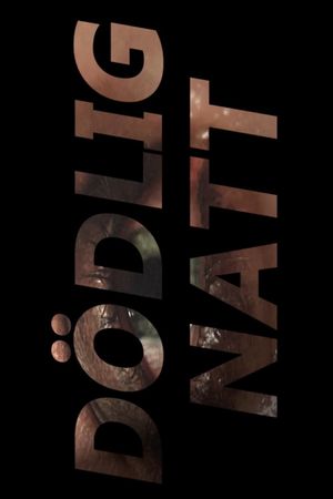 Dödlig Natt's poster