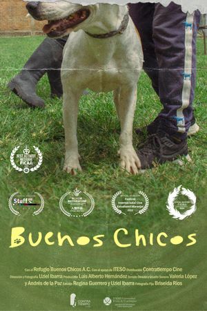 Buenos Chicos's poster