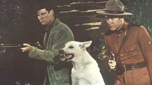 Trail of the Yukon's poster
