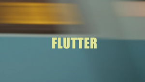 Flutter's poster