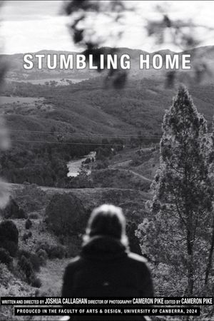 Stumbling Home's poster