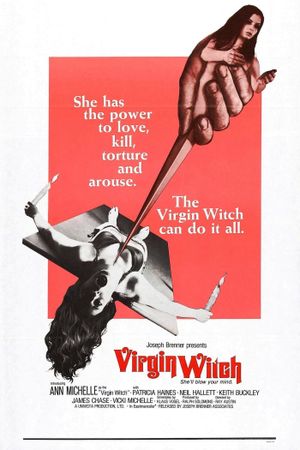 Virgin Witch's poster